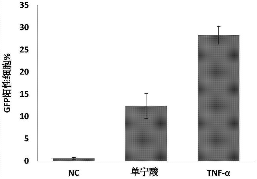 Application of tannic acid as an activator of HIV-1 latent infection