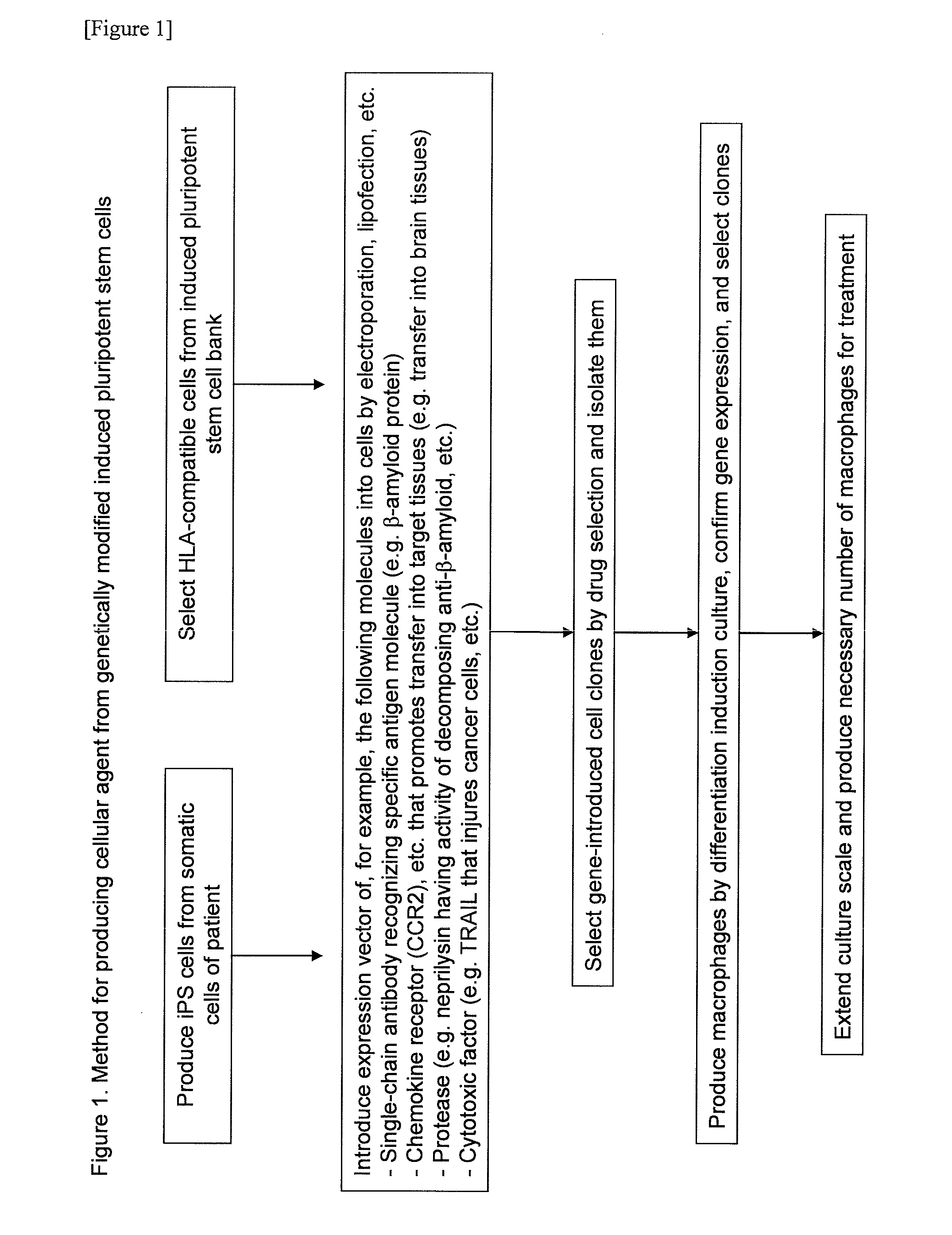 Method for producing cell medicine