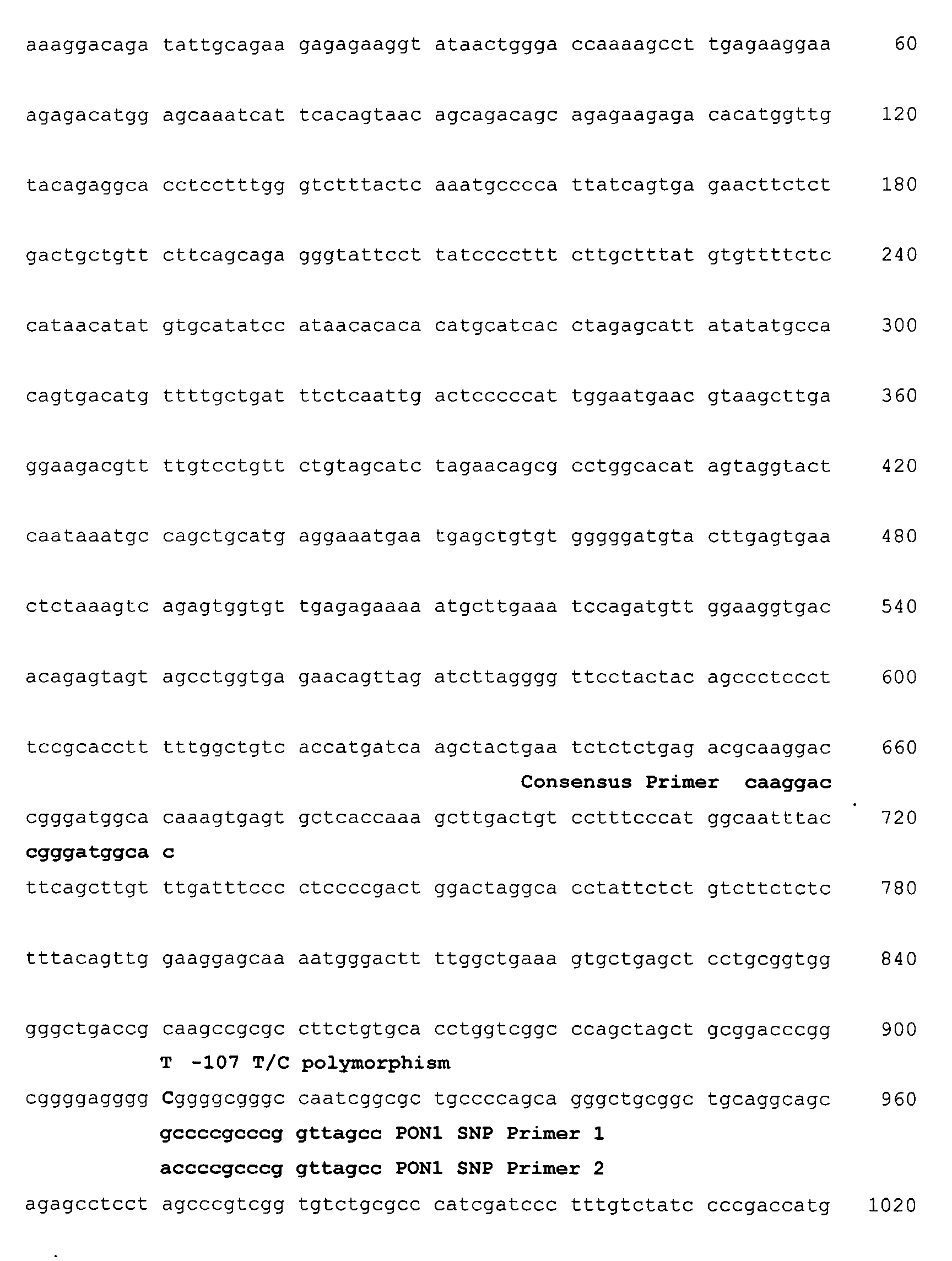 Mutation Associated With Lacunar Strokes