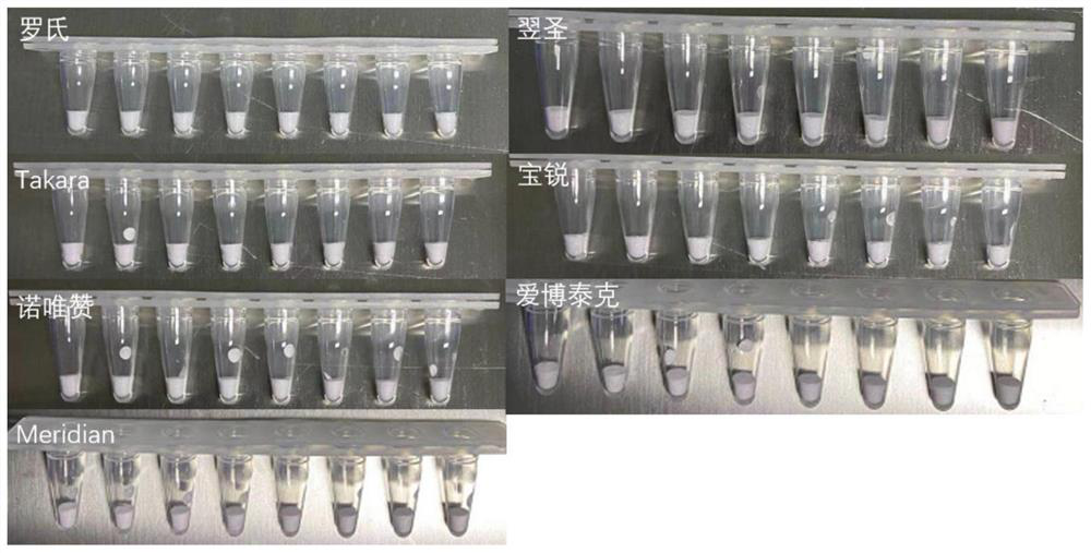 Freeze-drying protective agent, fluorescent PCR detection kit and freeze-drying process