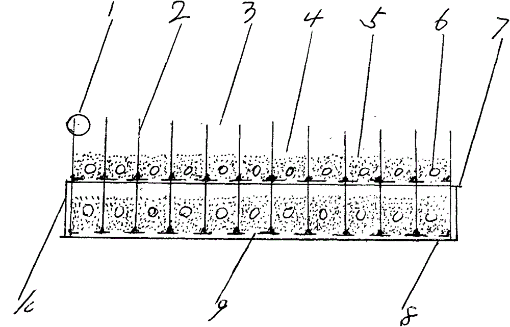 Two-layer and multi-cylinder drip irrigation seedling container