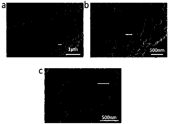 Mesoporous carbon @TiO2 core-shell spheres and preparation method thereof