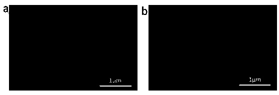 Mesoporous carbon @TiO2 core-shell spheres and preparation method thereof