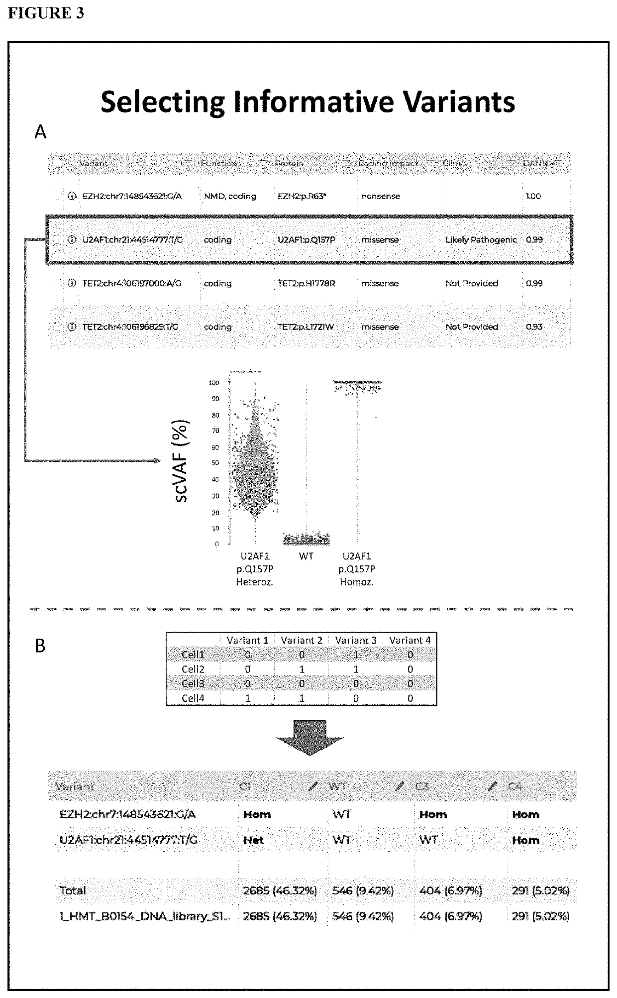 Method and systems to characterize tumors and identify tumor heterogeneity