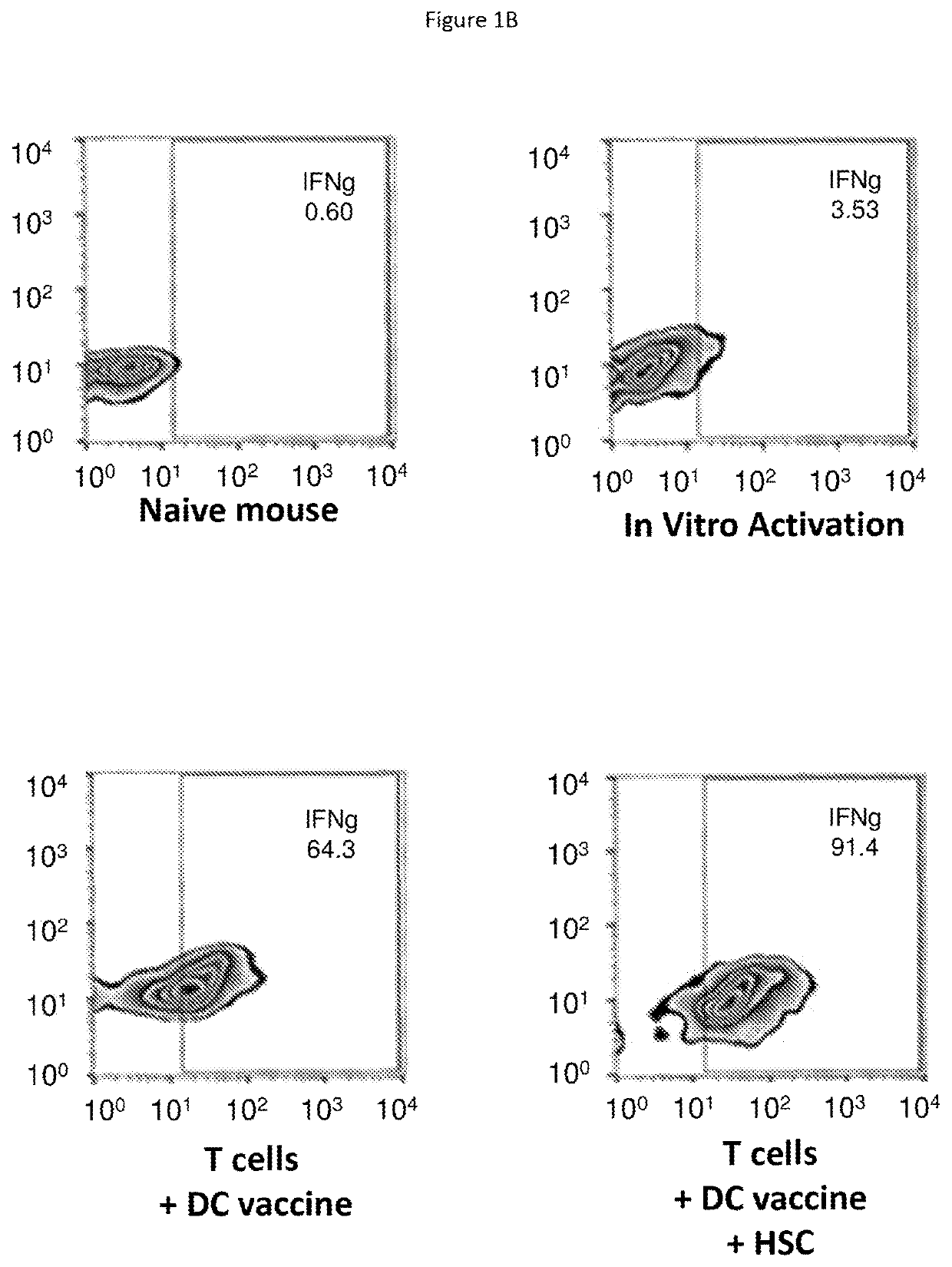 Hematopoietic stem cells in combinatorial therapy with immune checkpoint inhibitors against cancer