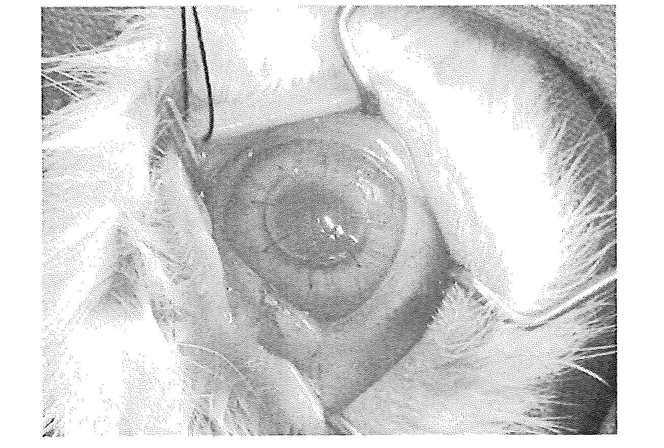 Antibacterial cornea repair material and preparation method thereof