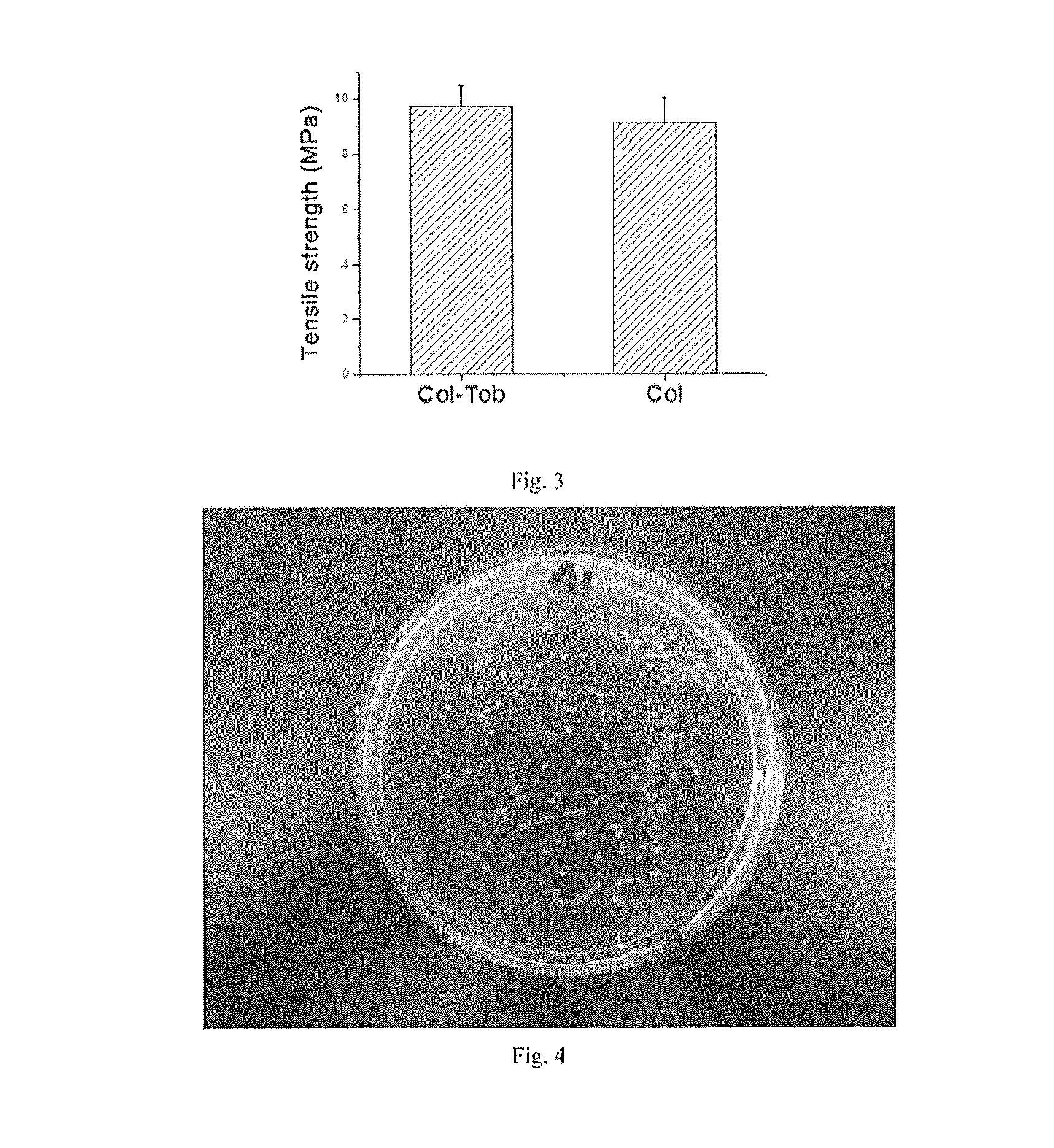 Antibacterial cornea repair material and preparation method thereof