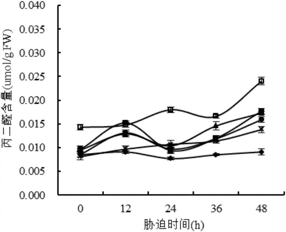 Use of γ-aminobutyric acid to improve salt stress tolerance of corn