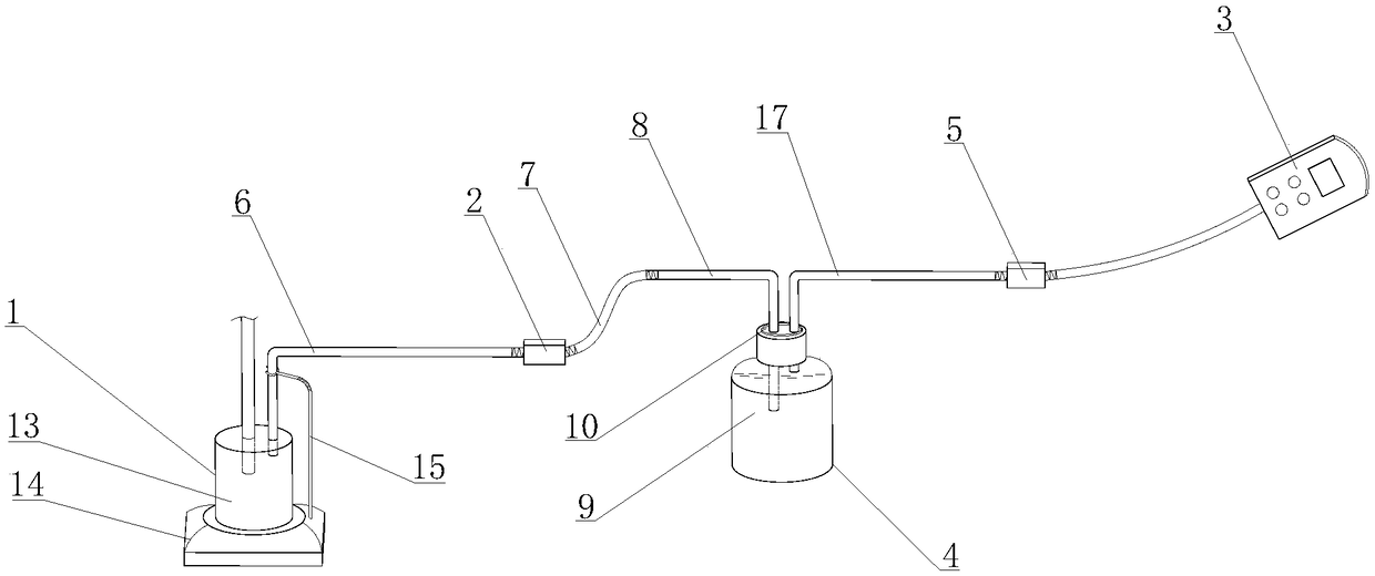 A detection device and detection method for non-condensable gas in steam