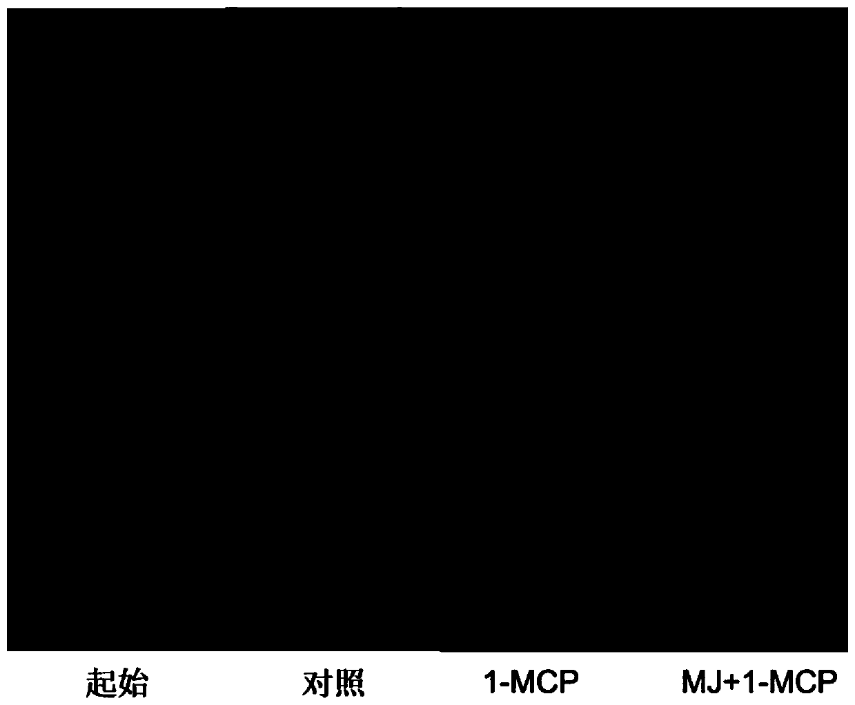 Use of 1-methylcyclopropene as a coloring accelerator for red pears