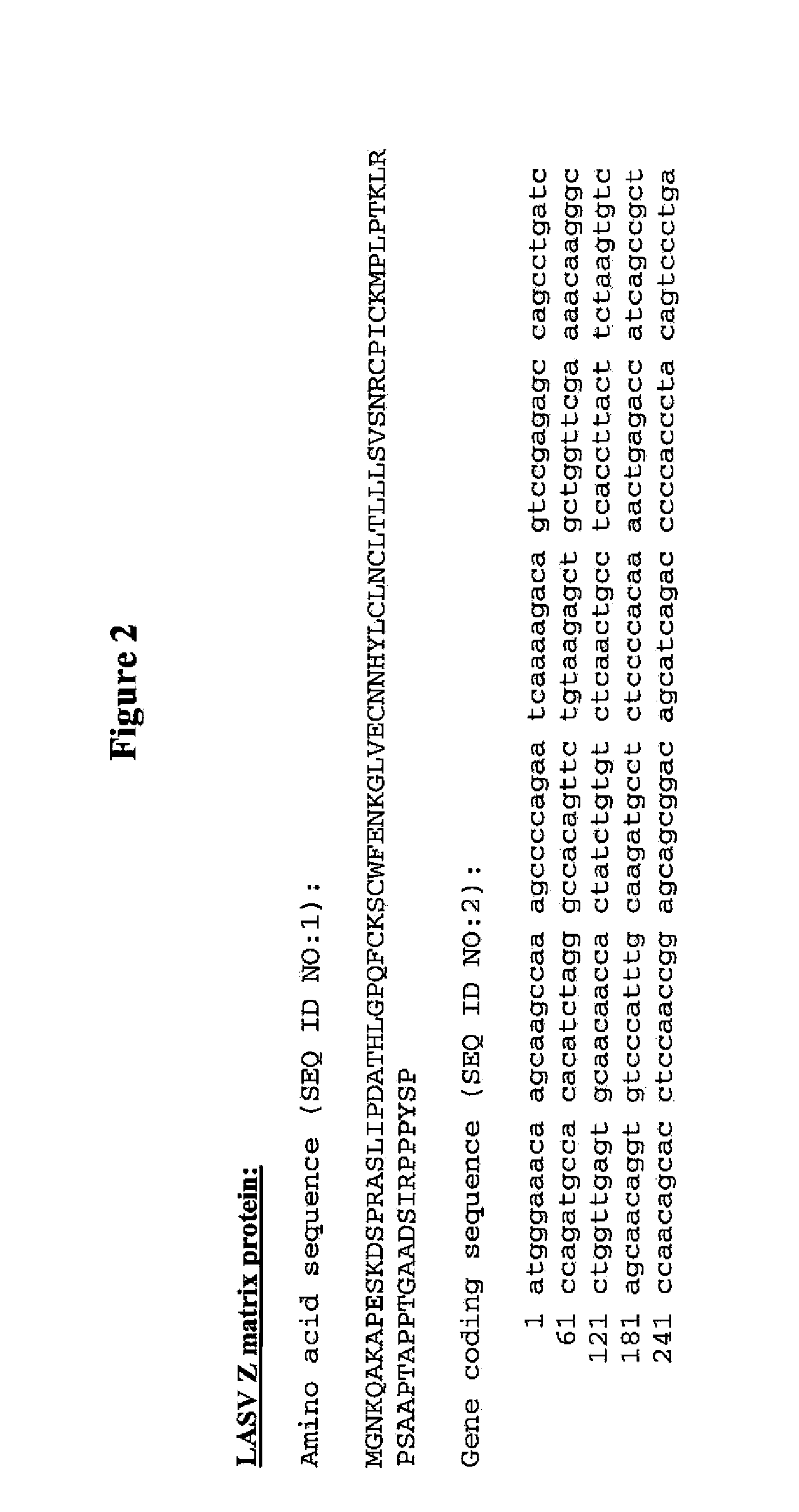 Lassa virus-like particles and methods of production thereof