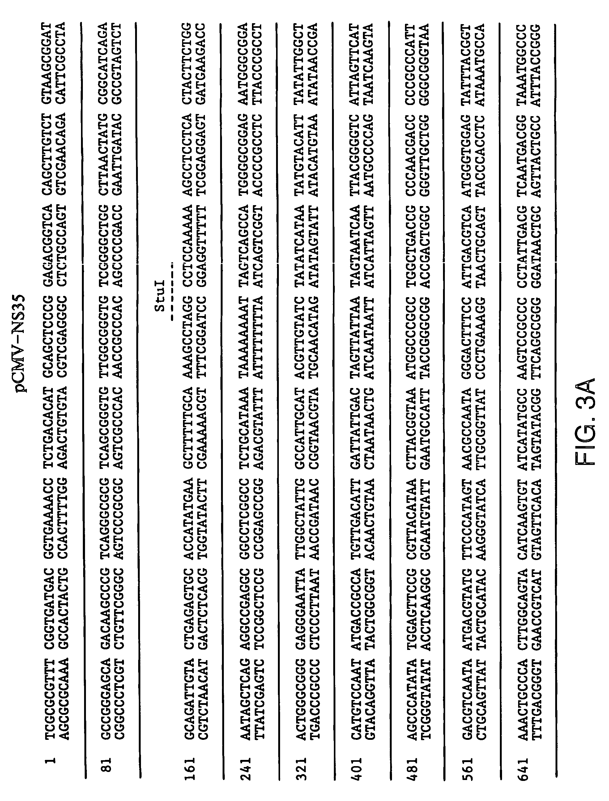 Immunogenic Hepatitis C virus non-structural polypeptides