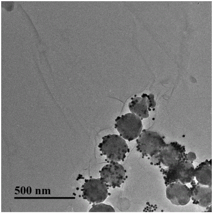 Vibrio parahaemolyticus detection method based on graphene oxide/ferroferric oxide/colloidal gold composite nanoparticle enhanced Raman effect