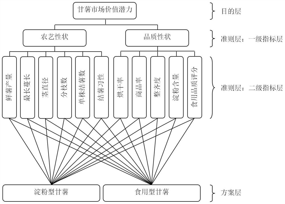 Sweet potato germplasm resource evaluation method based on multi-criterion decision