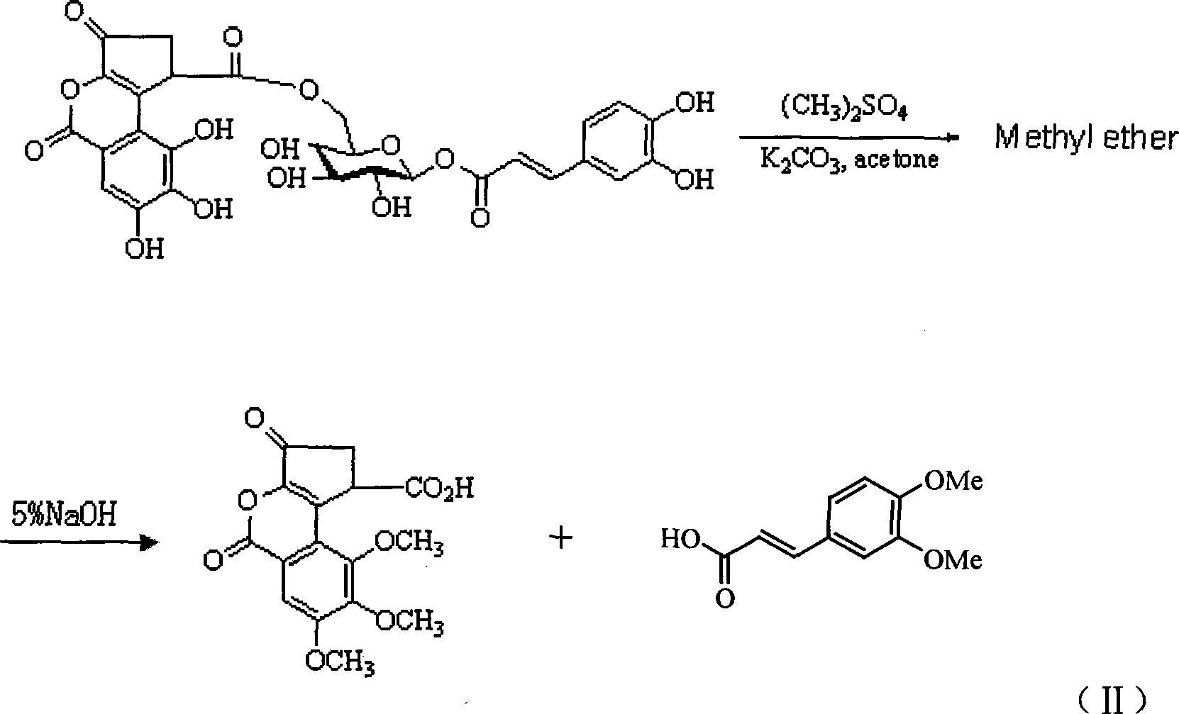 1-0-caffeoyl -6-0-(S)-caesalpinia sepiaria acyl group -Beta-D-glucopyranose and uses thereof