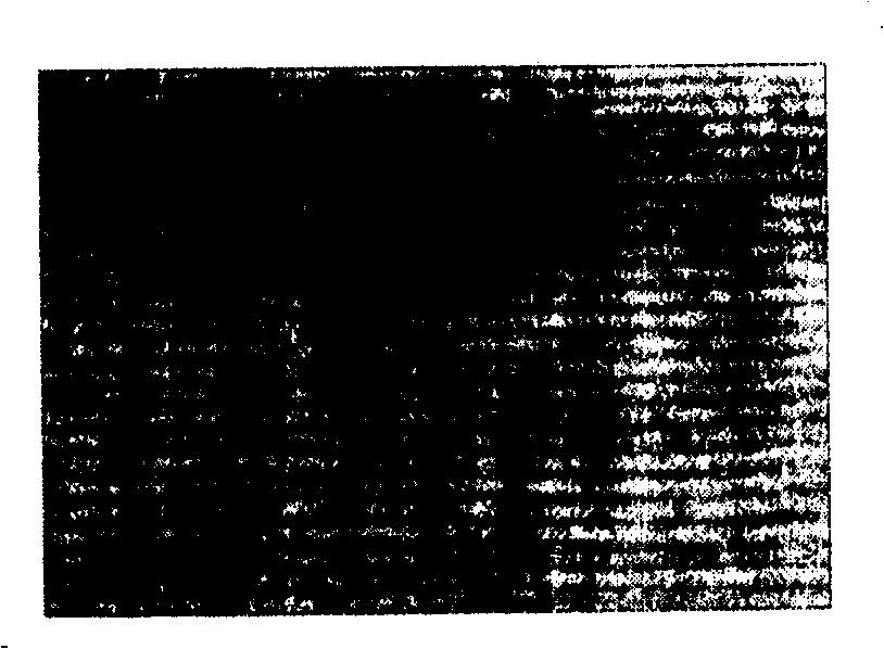 Method for measuring object deformation field by using moire interference carrier frequency modulation technology