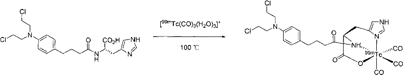 Carbonyl-technetium-labeled chlorambucil complex as well as preparation method and application thereof