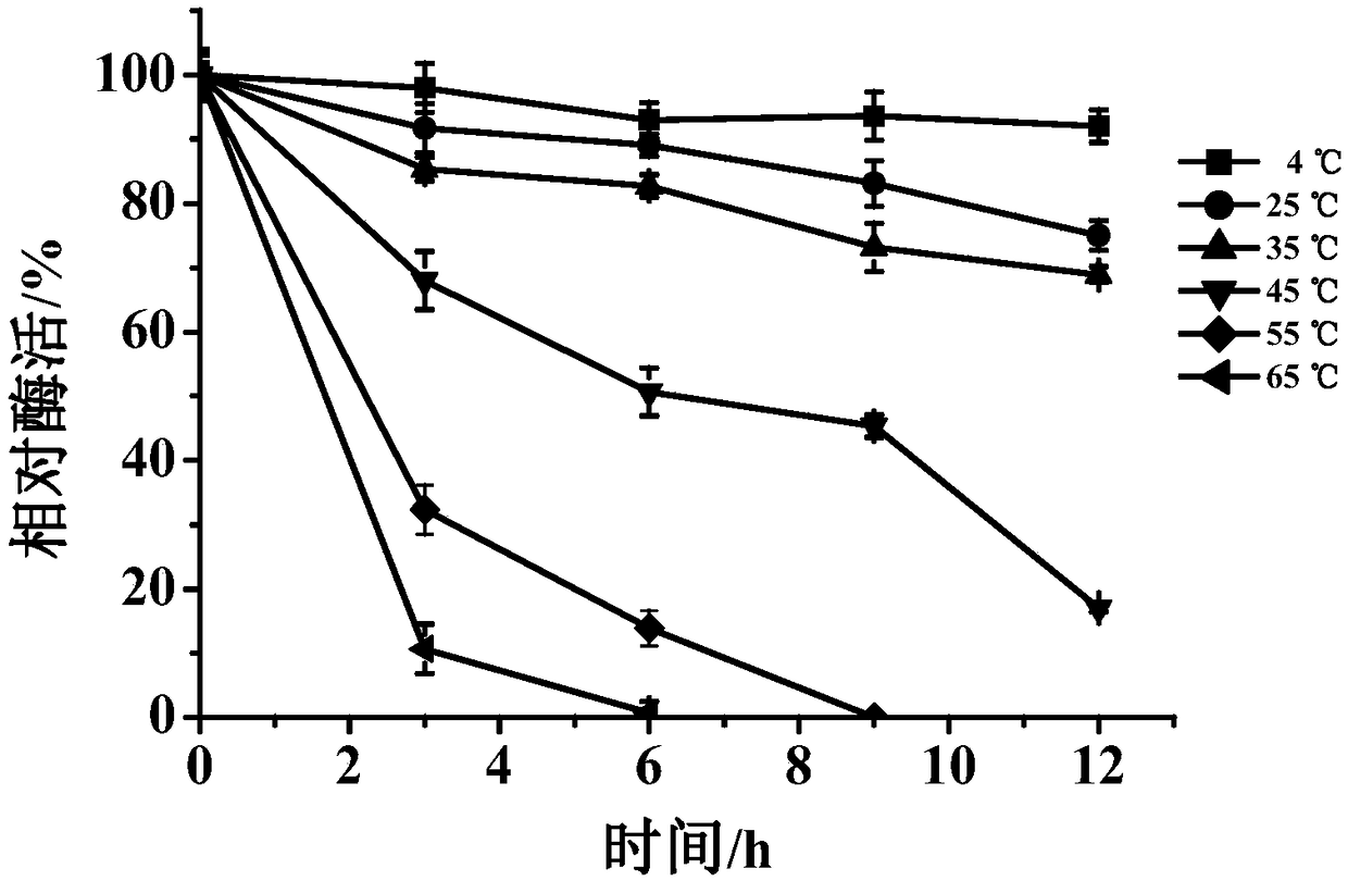 Novel MCO (multicopper oxidase) with function of efficient degradation of histamine