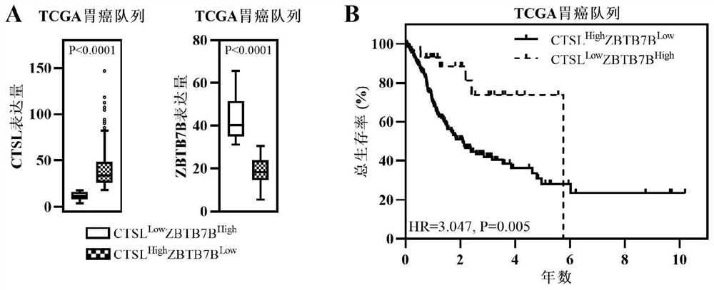 Double-gene combination and application thereof to personalized candidate evaluation of gastric cancer immunotherapy patient