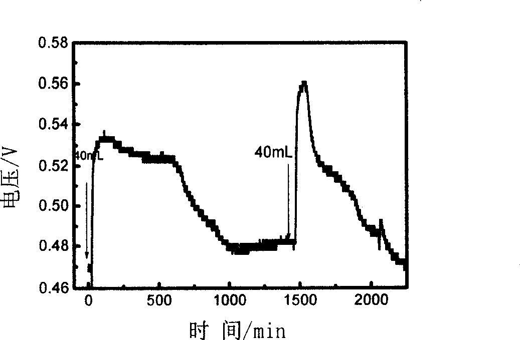 Single cell microbiological fuel cell with gaseous diffusion electrode as cathode