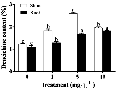 Method for improving the content of dencichine in pseudo-ginseng