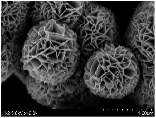 Hydrangea macrophylla-shaped Cu2-xSe nanometer material and production and application thereof