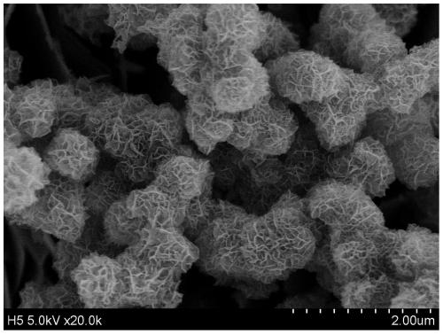 Hydrangea macrophylla-shaped Cu2-xSe nanometer material and production and application thereof