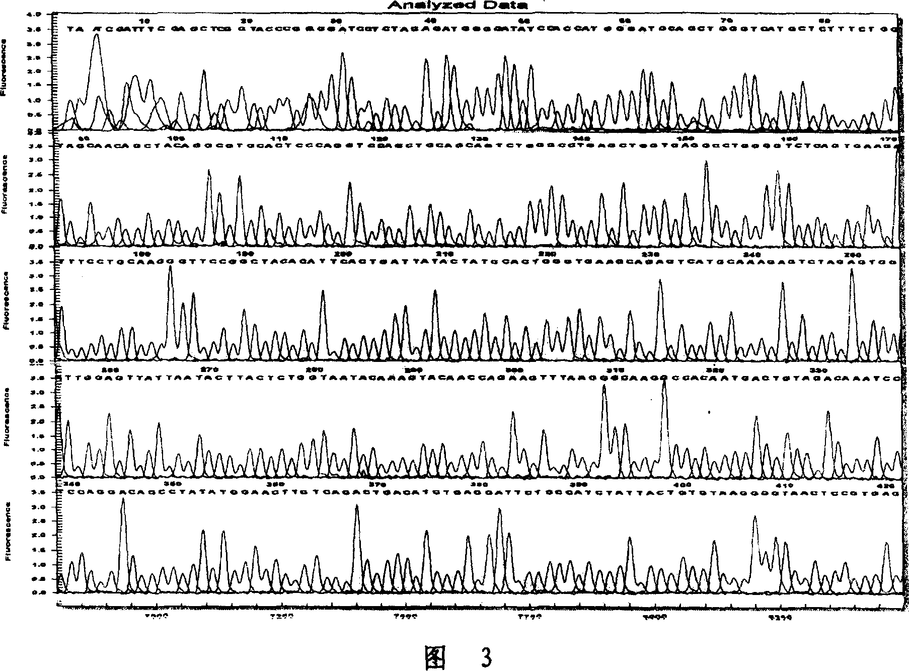 Light and heavy chain variable region genes of monoclonal antibody CAb-2 against human colorectal carcinoma and their application