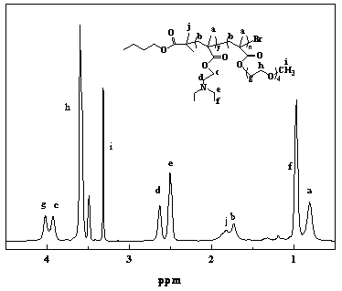 PH responsive polymer carrier, micelle prepared from same, preparation method and application