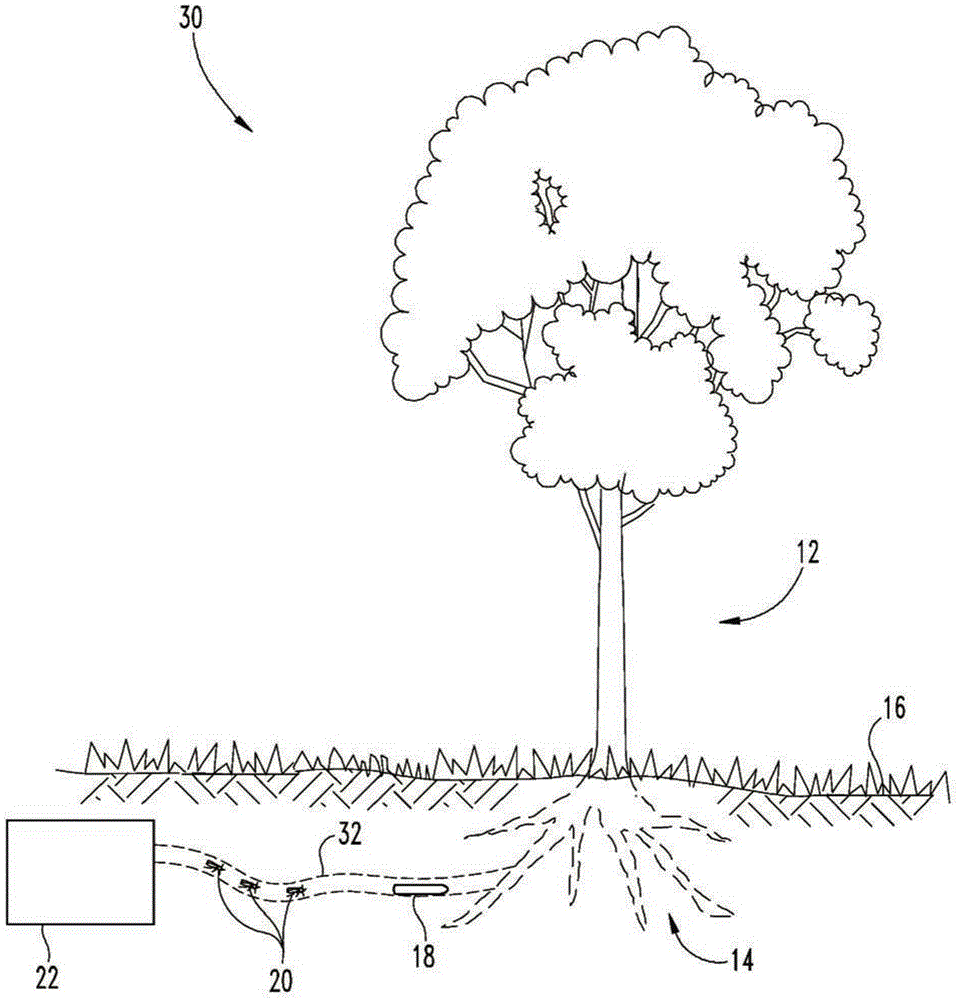 Systems and methods for controlling pest infestation of a woody plant