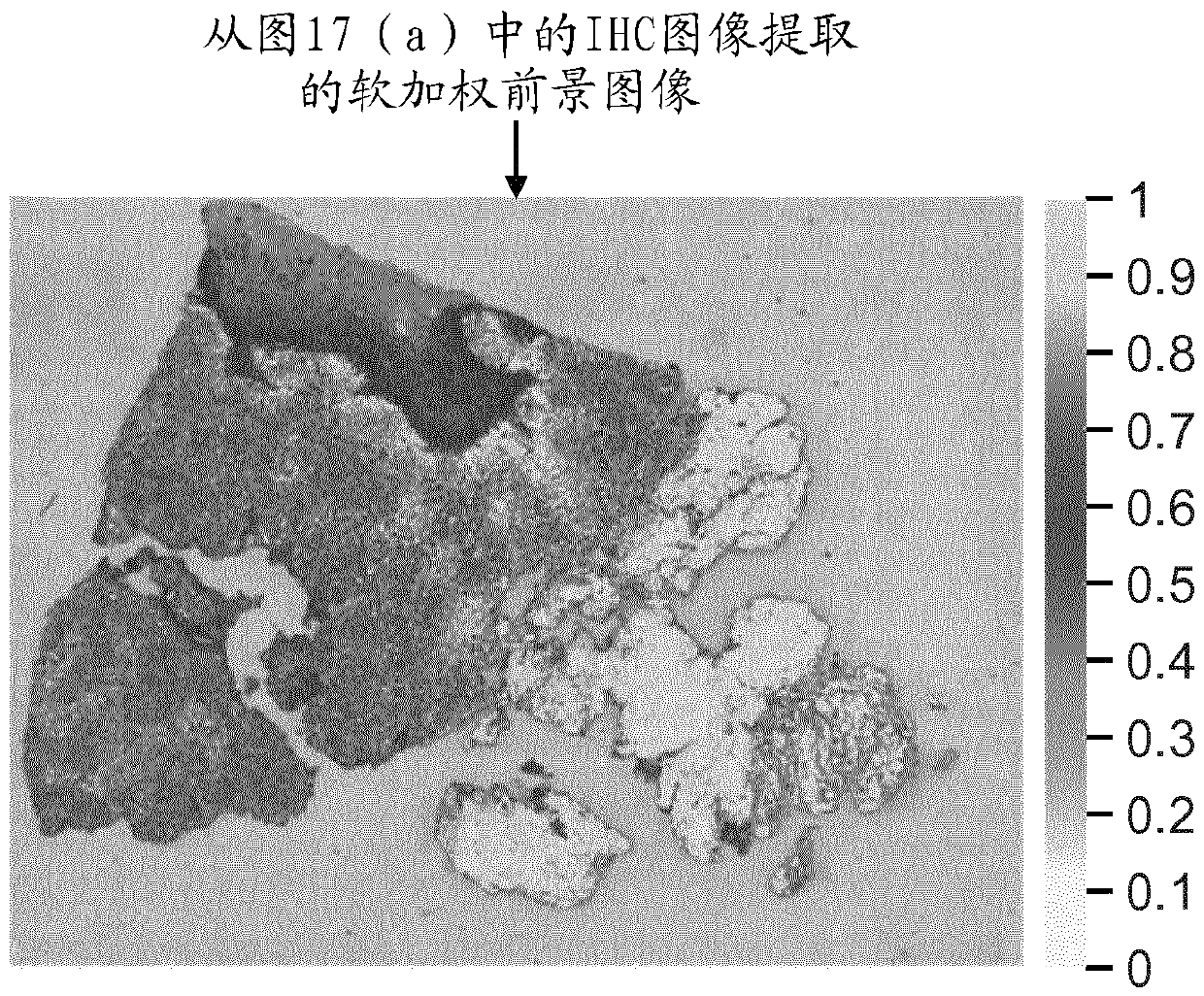 Complete slide image registration and cross-image annotation apparatus, system and method