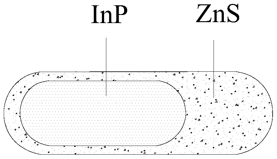 Preparation method of inp/zns nanorods with core-shell structure