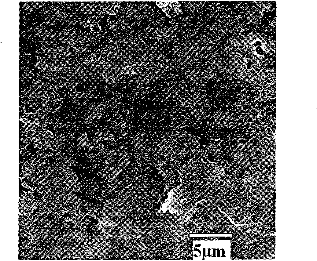 Ultra-discharging water-soluble fluor-silicon-acrylic coatings with nano particles