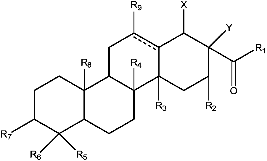 Conjugate of triterpene and linear chain amino derivative and application of conjugate