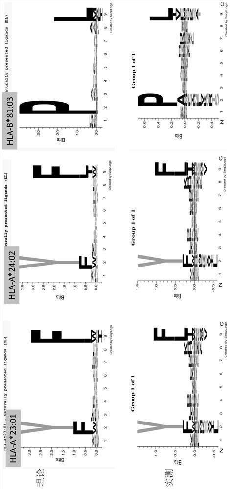 Analysis method for extracting immune polypeptide in biological sample based on immunoprecipitation method