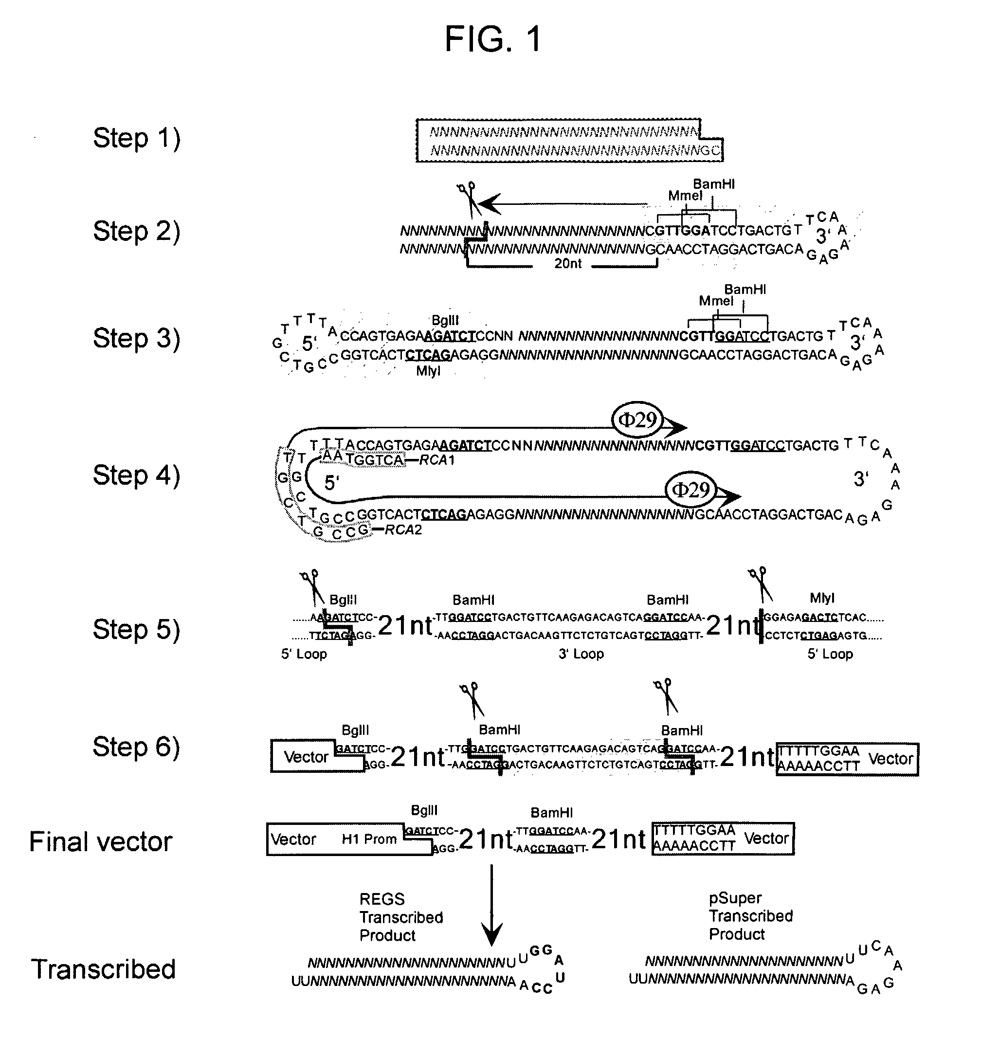 Methods and Compositions for Use in Preparing Hairpin Rnas