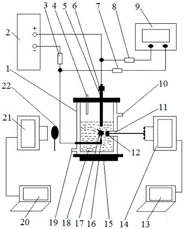 Rapid detection system and method for liquid-phase cathodic discharge plasma spectroscopy of metal elements