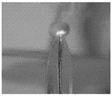 Rapid detection system and method for liquid-phase cathodic discharge plasma spectroscopy of metal elements