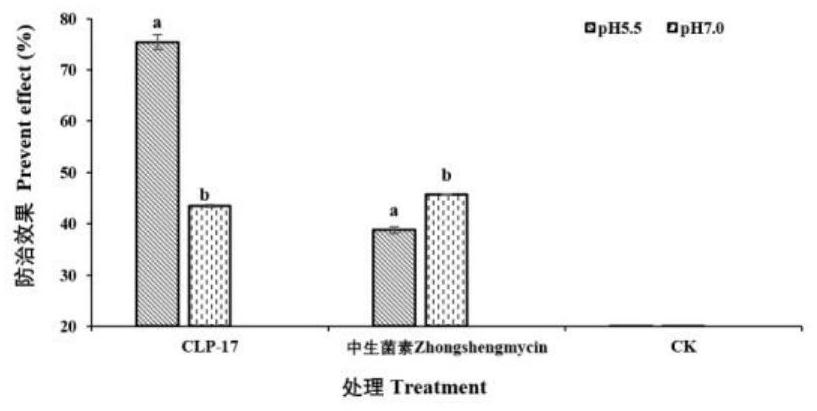 Screening, identification and biocontrol activity determination methods for acidophilic PGPR strains