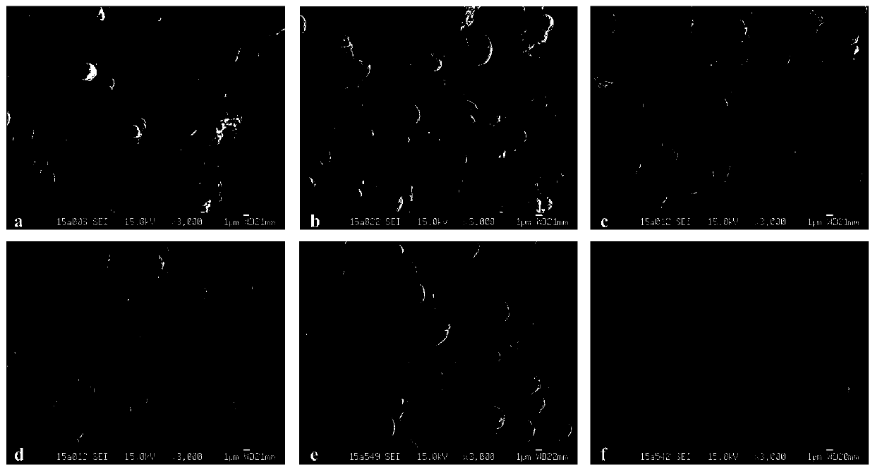 Carrier particle with porous structure and its preparation method and application