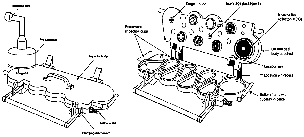 Carrier particle with porous structure and its preparation method and application