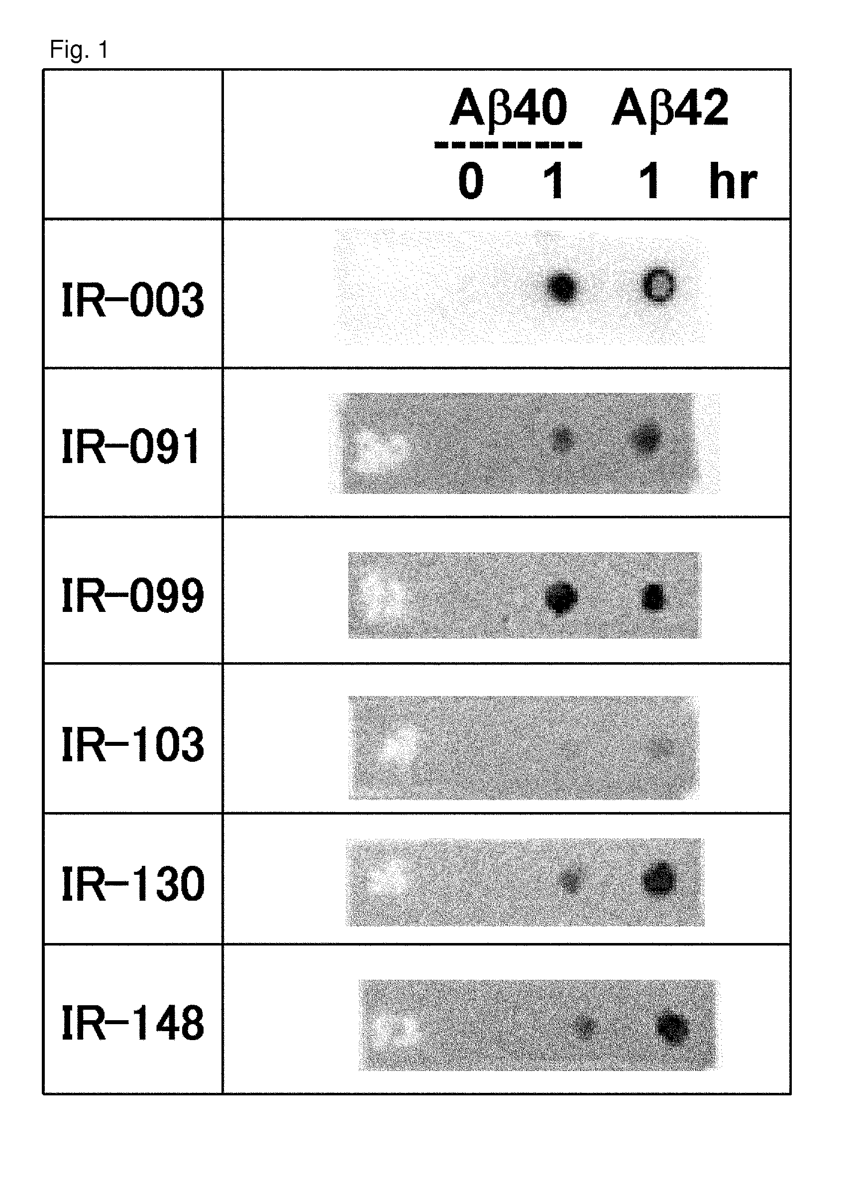 Antibodies that specifically bind to A beta oligomers and use thereof