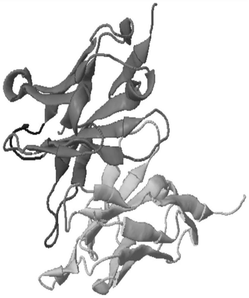 An anti-angptl3 monoclonal antibody and its use in the preparation of a medicine for treating nephrotic syndrome