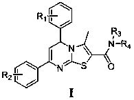 5,7-Diphenyl-5h-thiazolo[3,2-a]pyrimidine-2-carboxamide derivatives and their applications