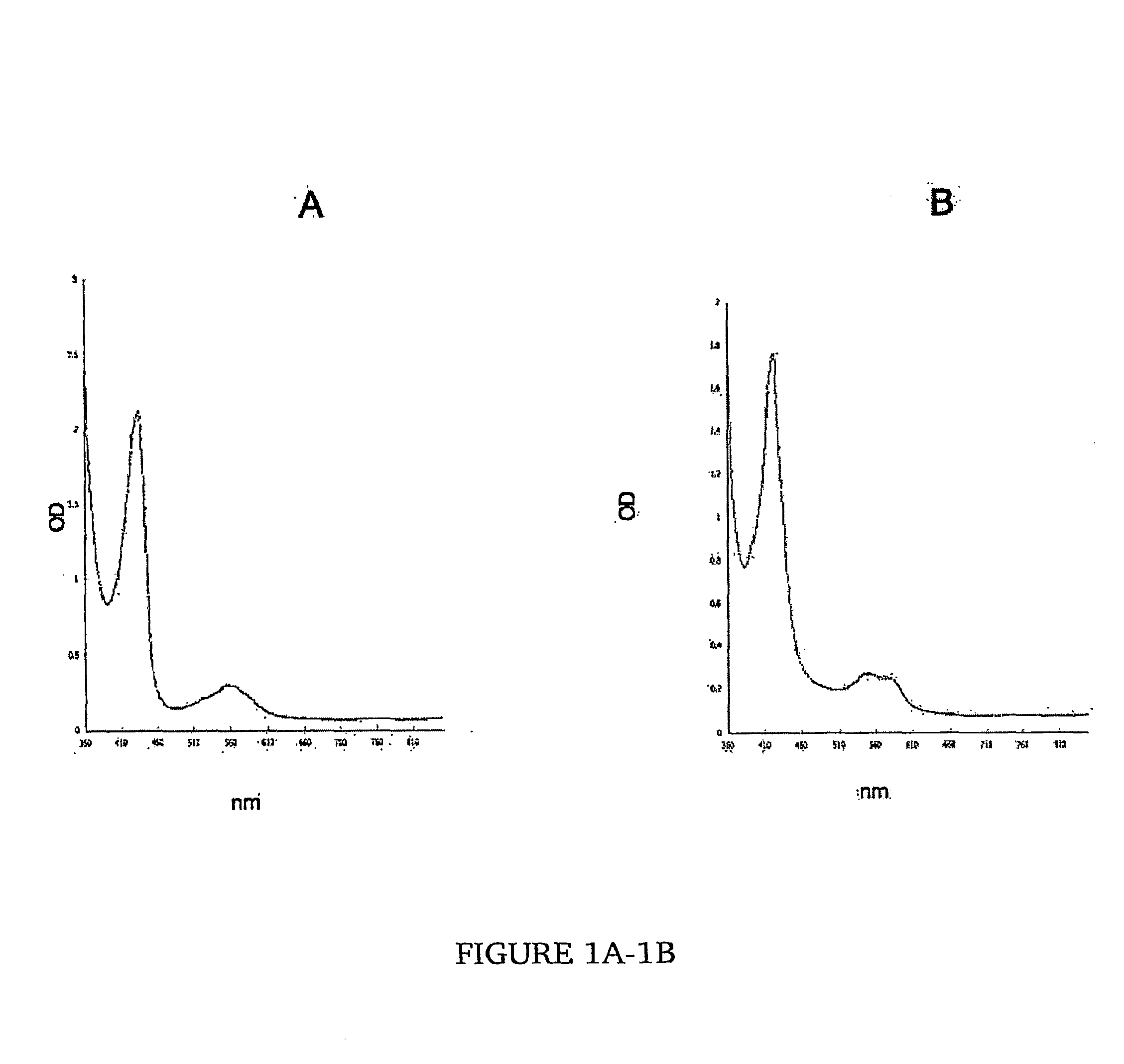 Compositions for sustrained release of nitric oxide, methods of preparing same and uses thereof