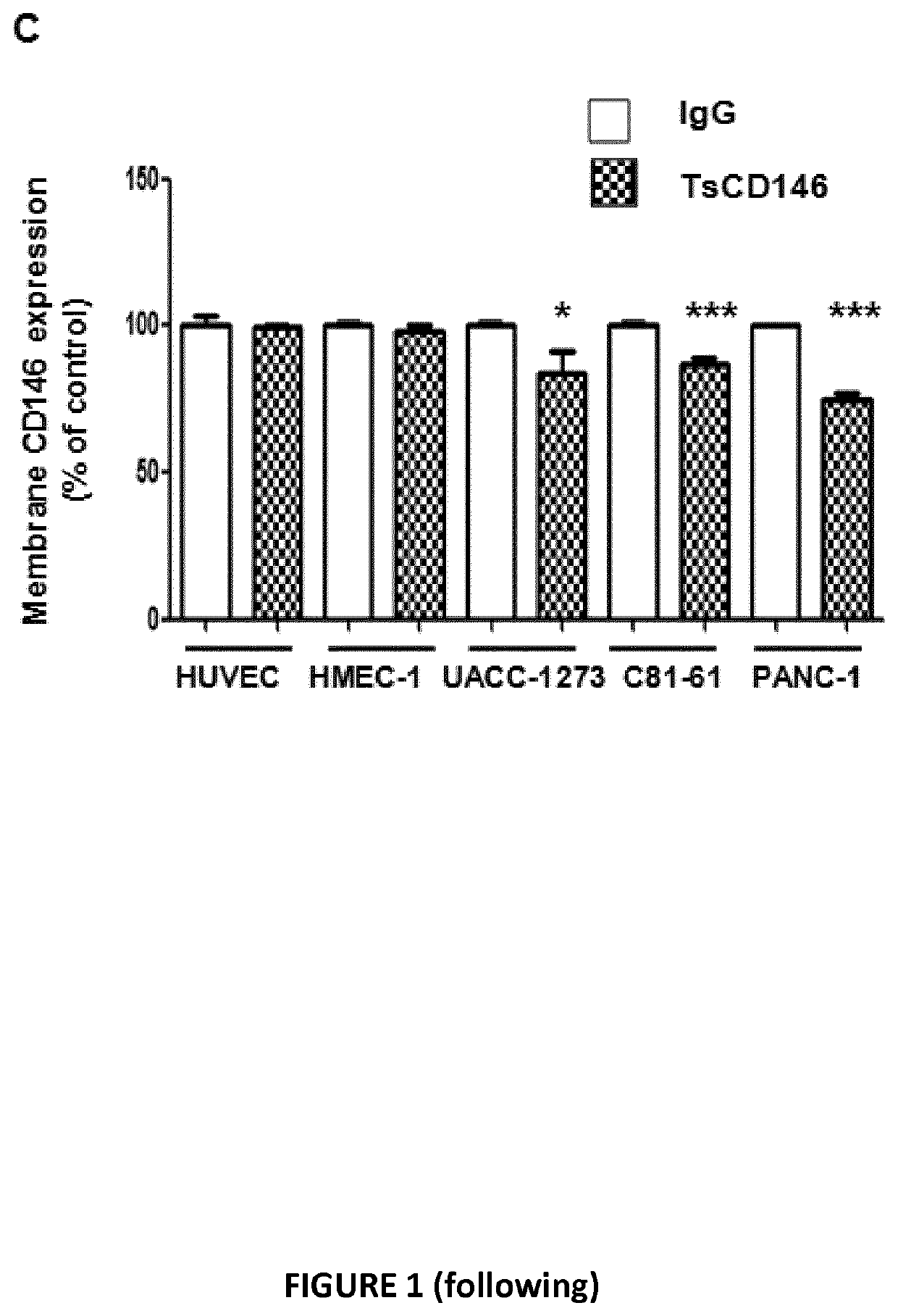 Anti-cd146 antibodies and uses thereof