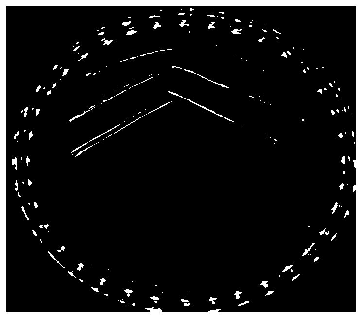 Leuconostoc citreum for producing acid inulase and application