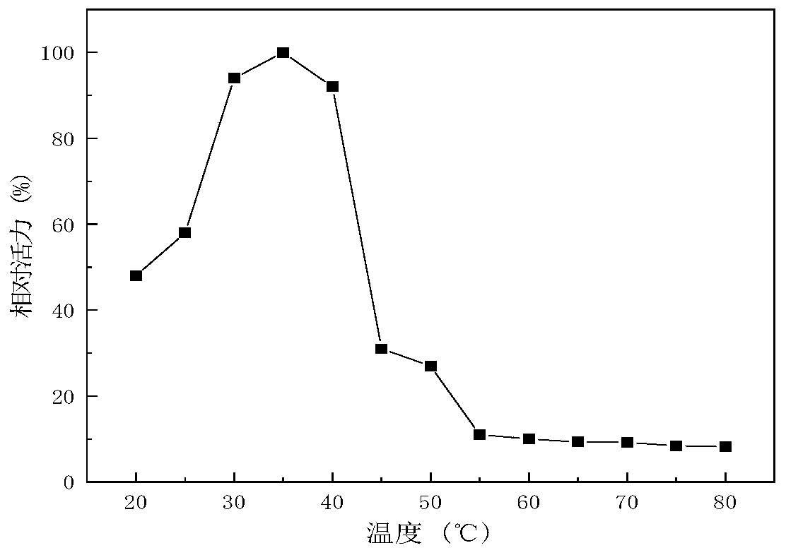 Leuconostoc citreum for producing acid inulase and application