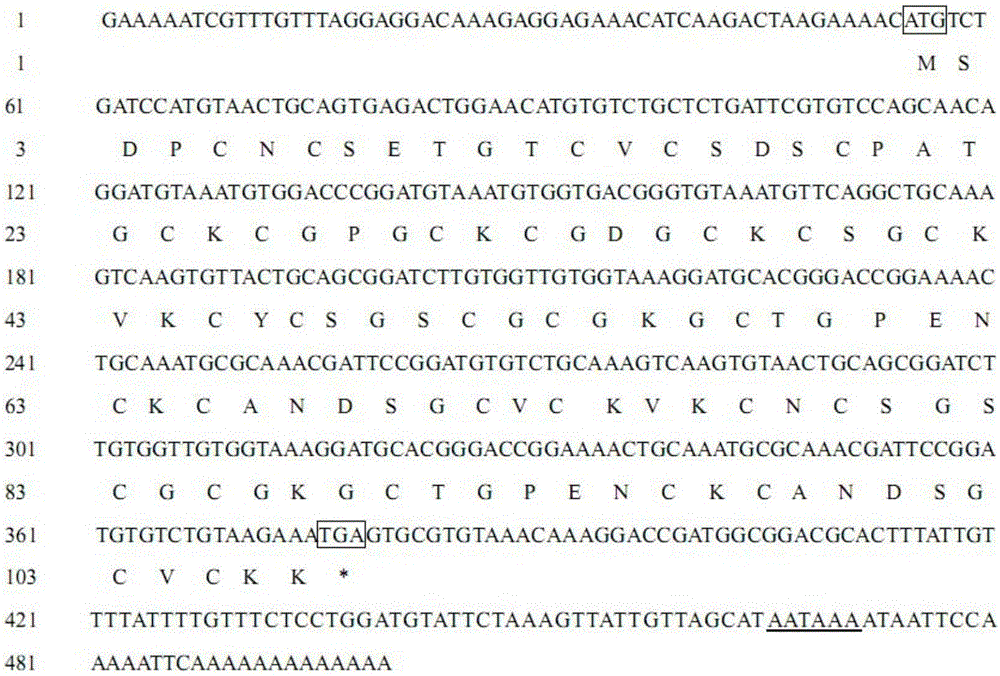 Bacillus subtillis expressing metallothionein and method for producing metallothionein