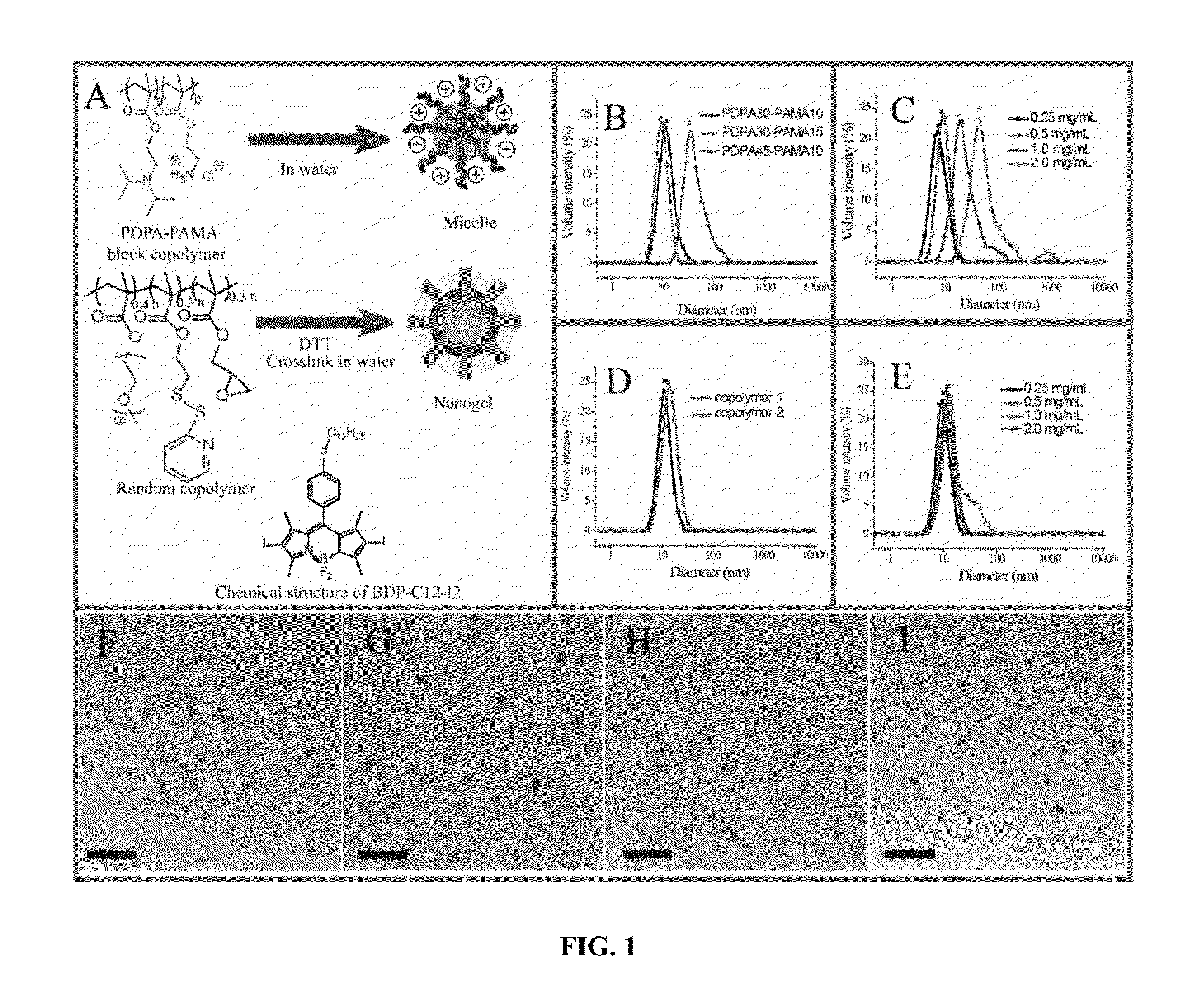 Polymer-polymer composite nanoassemblies and applications thereof